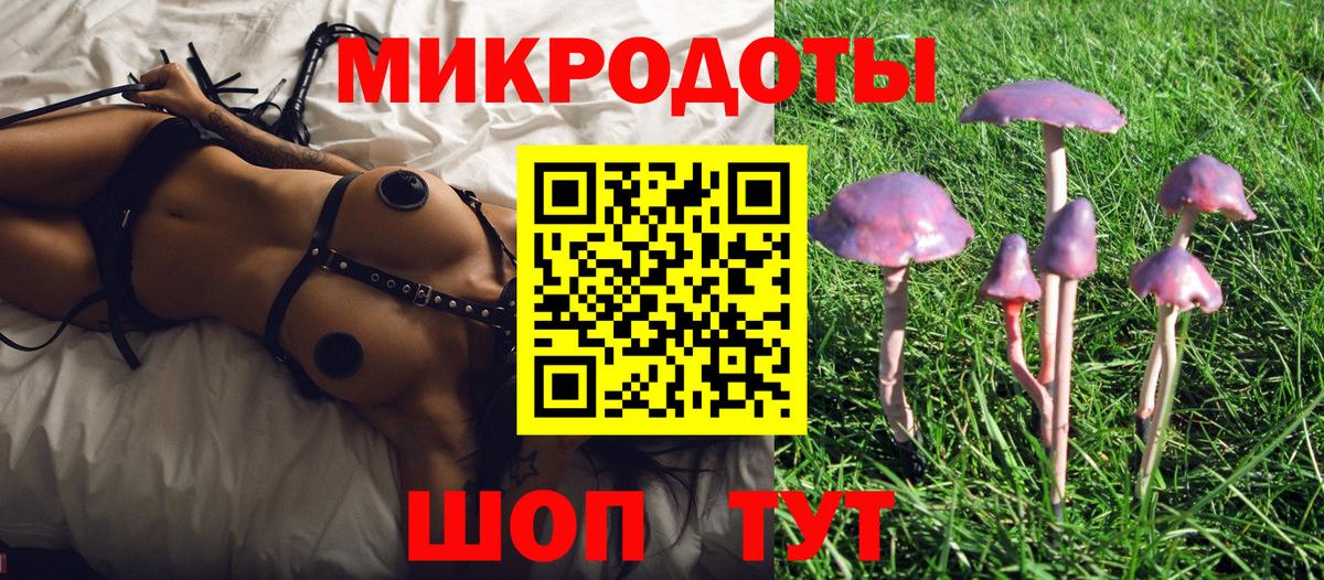 Псилоцибиновые грибы GOLDEN TEACHER Киржач
